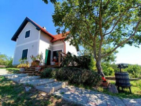 Panorámaház Lovason
